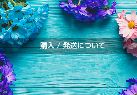 購入 / 発送について
